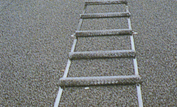 gH